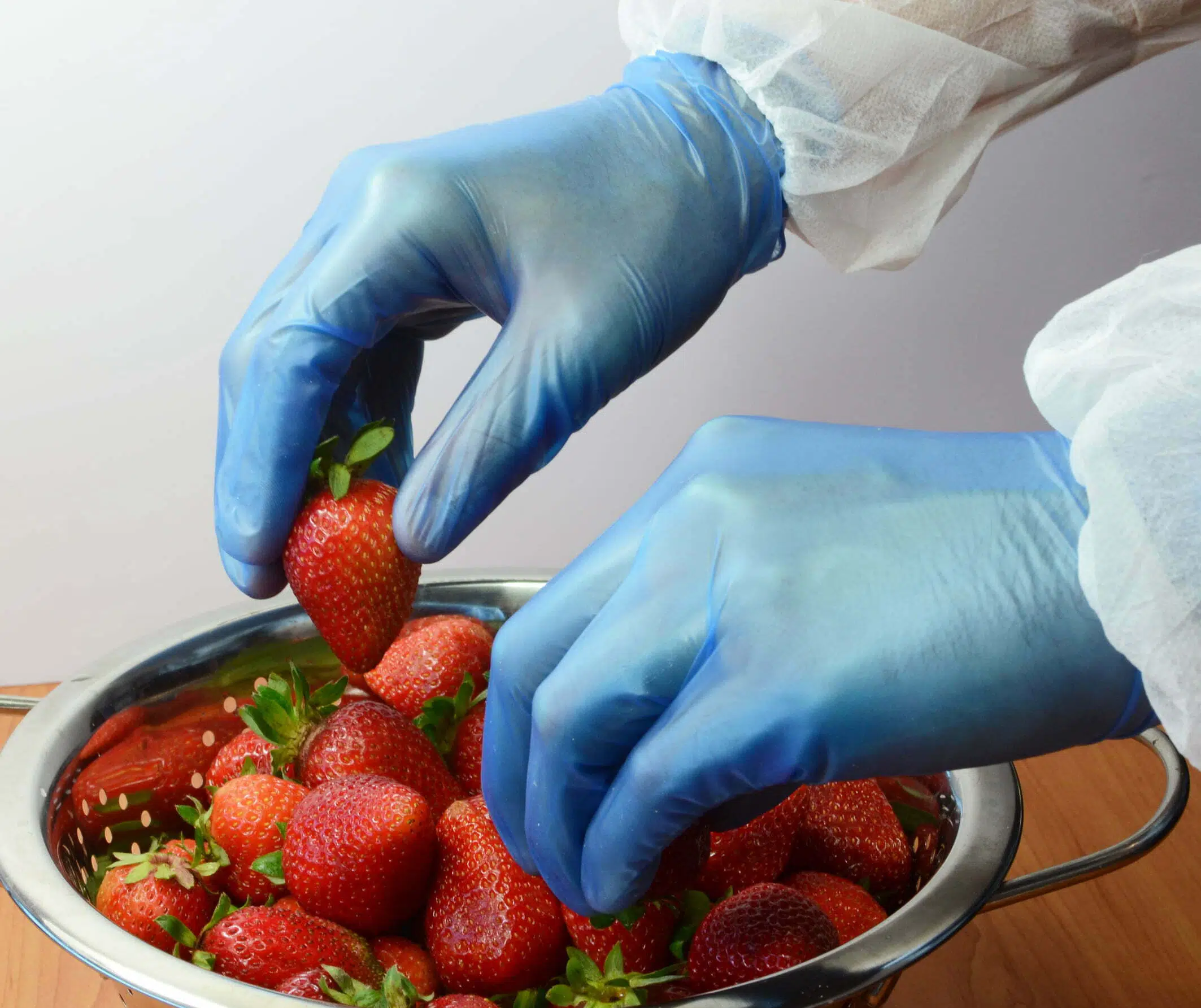 blue vinyl examination gloves
vinyl examination gloves
powder free vinyl gloves
latex free examination gloves
disposable vinyl gloves